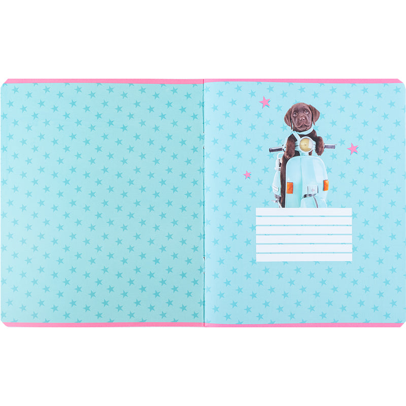 Зошит шкільний Kite Studio Pets SP24-238, 24 аркуша, клітинка