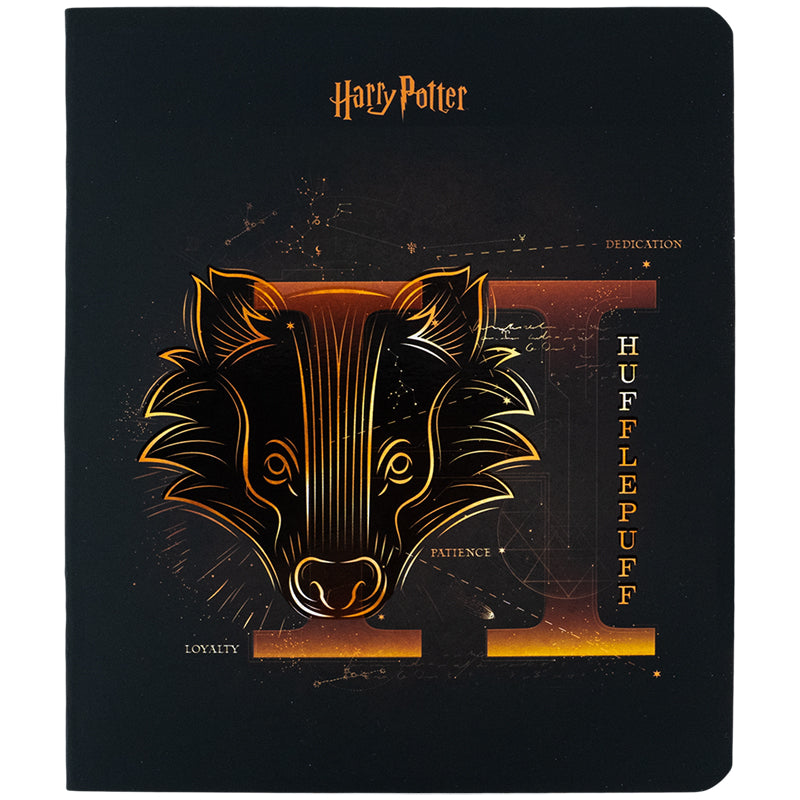 Зошит шкільний Kite Harry Potter HP24-259, 48 аркушів, клітинка