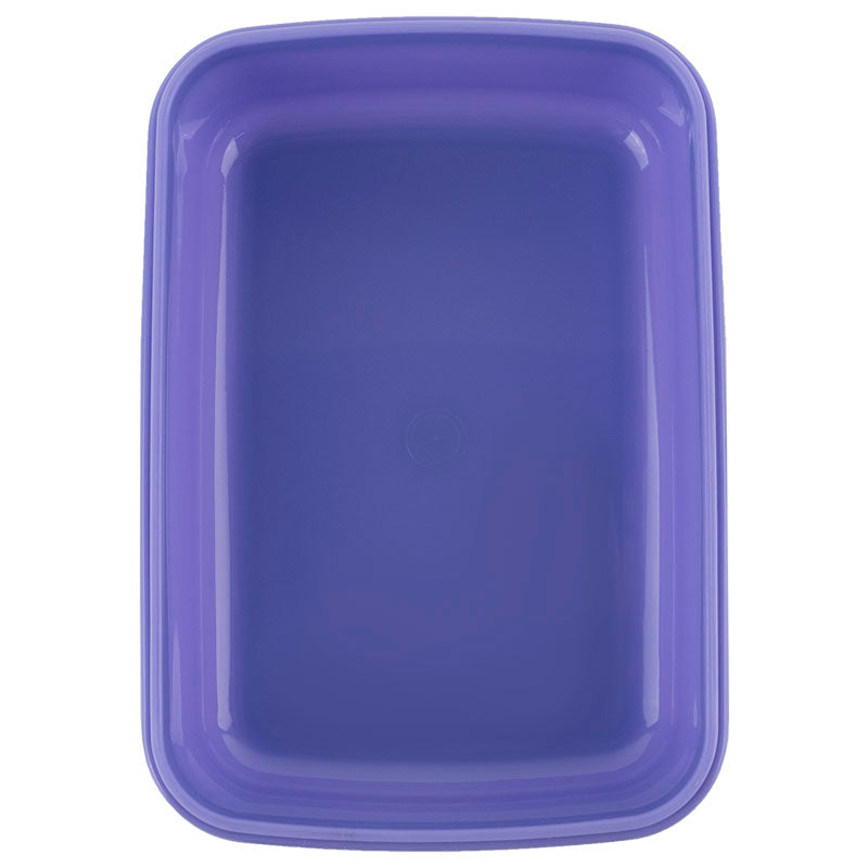 Ланчбокс Kite Rachael Hale R25-160, 420 мл