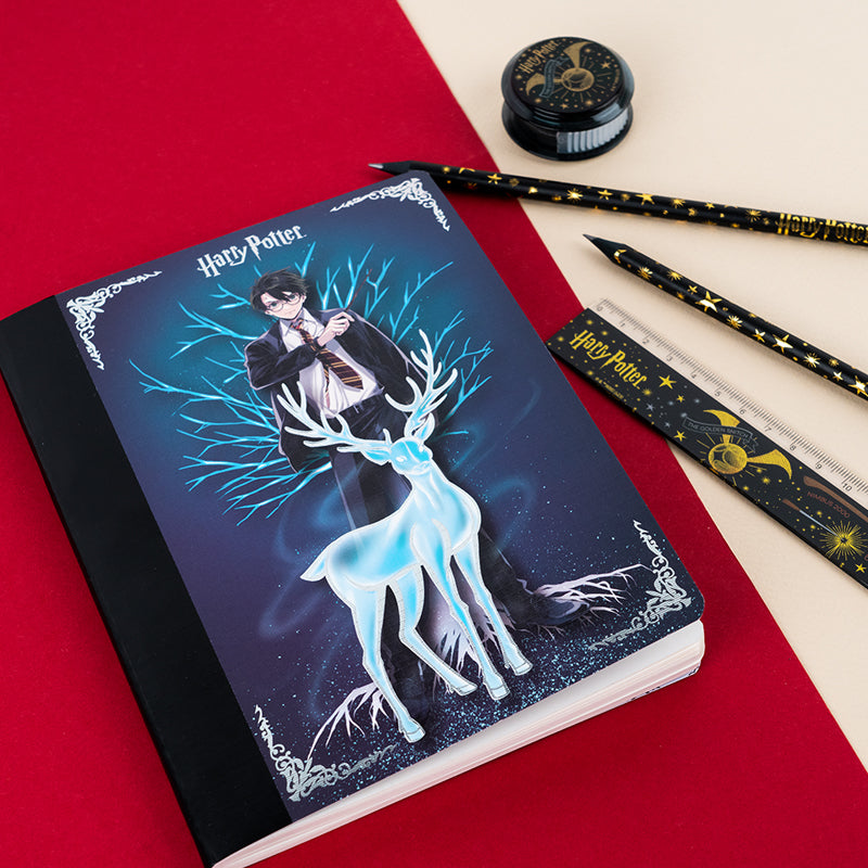 Блокнот з магнітною закладкою Kite Harry Potter HP25-192, А5, 60 аркушів, клітинка
