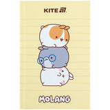 Книга записна Kite Molang ML25-199, тверда обкладинка, А6, 80 аркушів, клітинка Книга записна Kite Molang ML25-199, тверда обкладинка, А6, 80 аркушів, клітинка