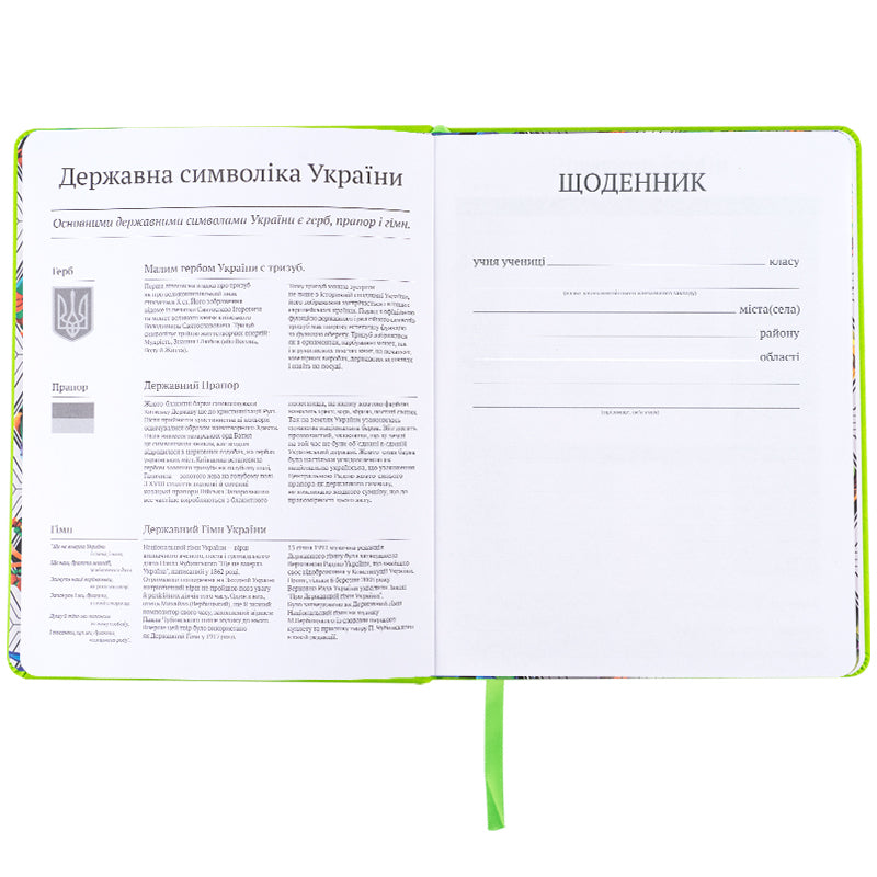 Щоденник шкільний Kite Ninja Turtles NT25-264, тверда обкладинка, PU
