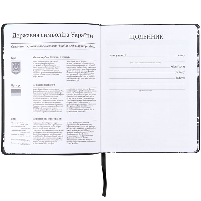 Щоденник шкільний Kite Anime boy K25-283-2, м'яка обкладинка, PU