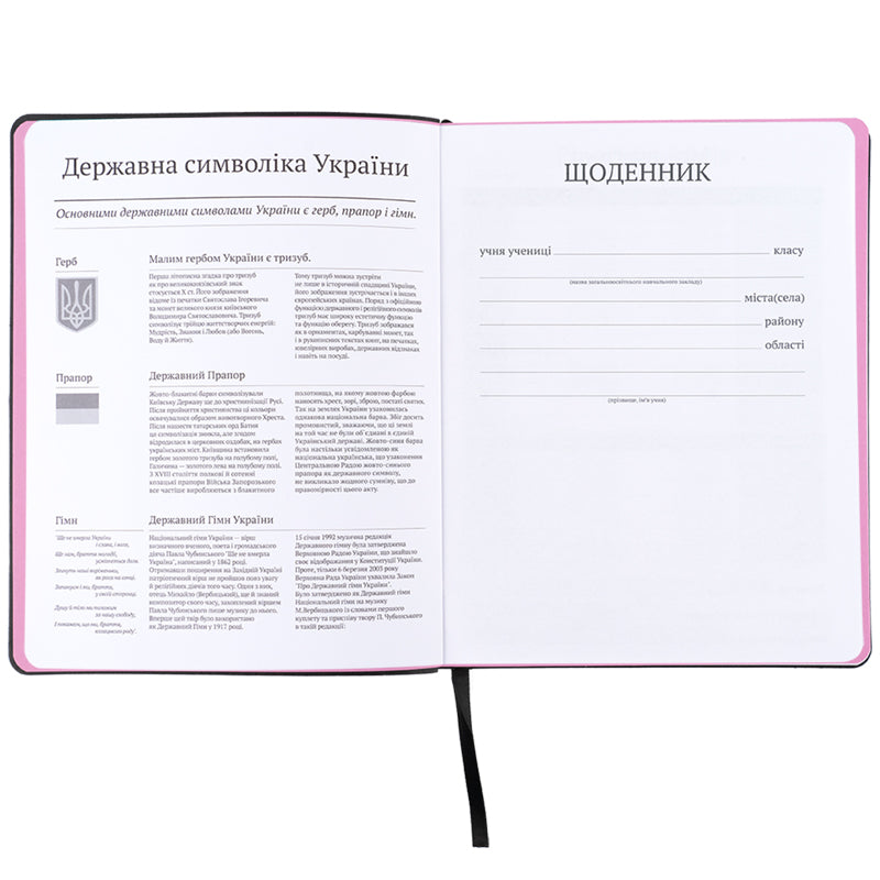 Дневник школьный Kite Love is K25-283-3, мягкая обложка, PU