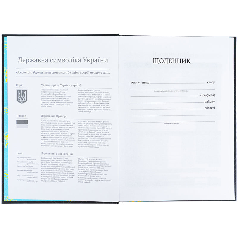 Щоденник шкільний Kite Cyber K25-262-4, тверда обкладинка