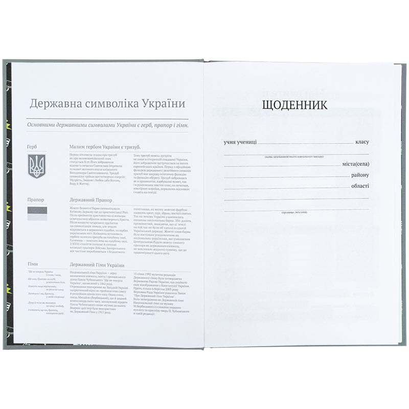 Дневник школьный Kite Energy K25-262-5, твердая обложка