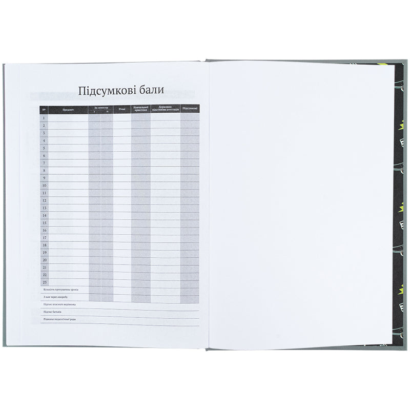 Дневник школьный Kite Energy K25-262-5, твердая обложка