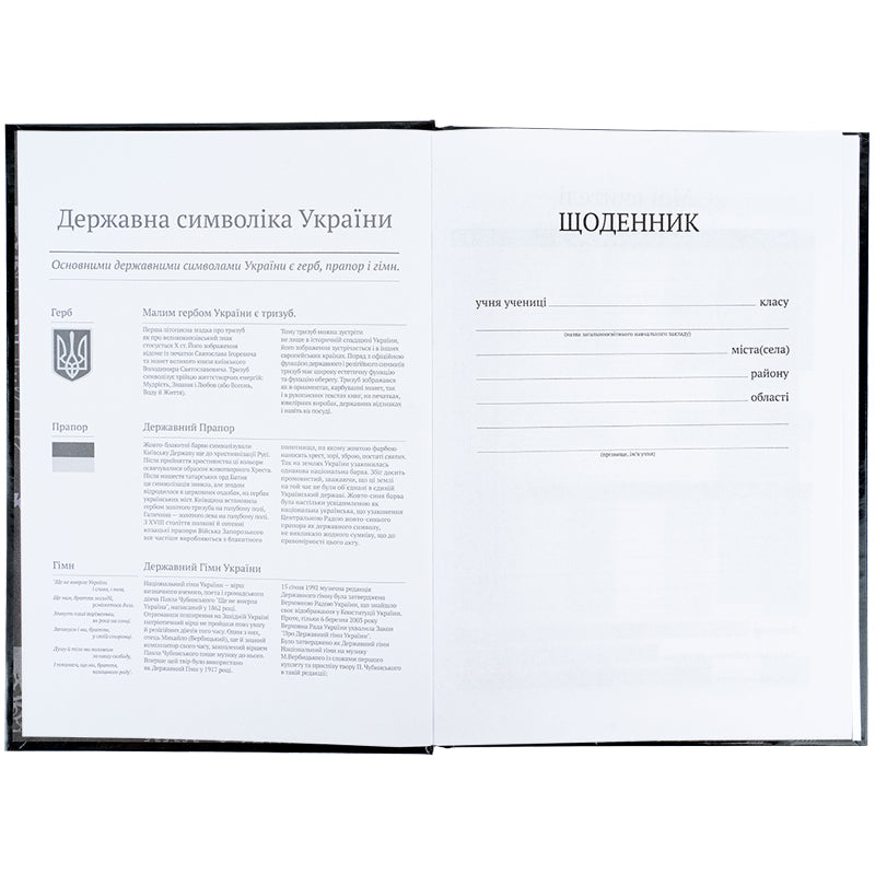 Дневник школьный Kite Tokyo K25-262-6, твердая обложка