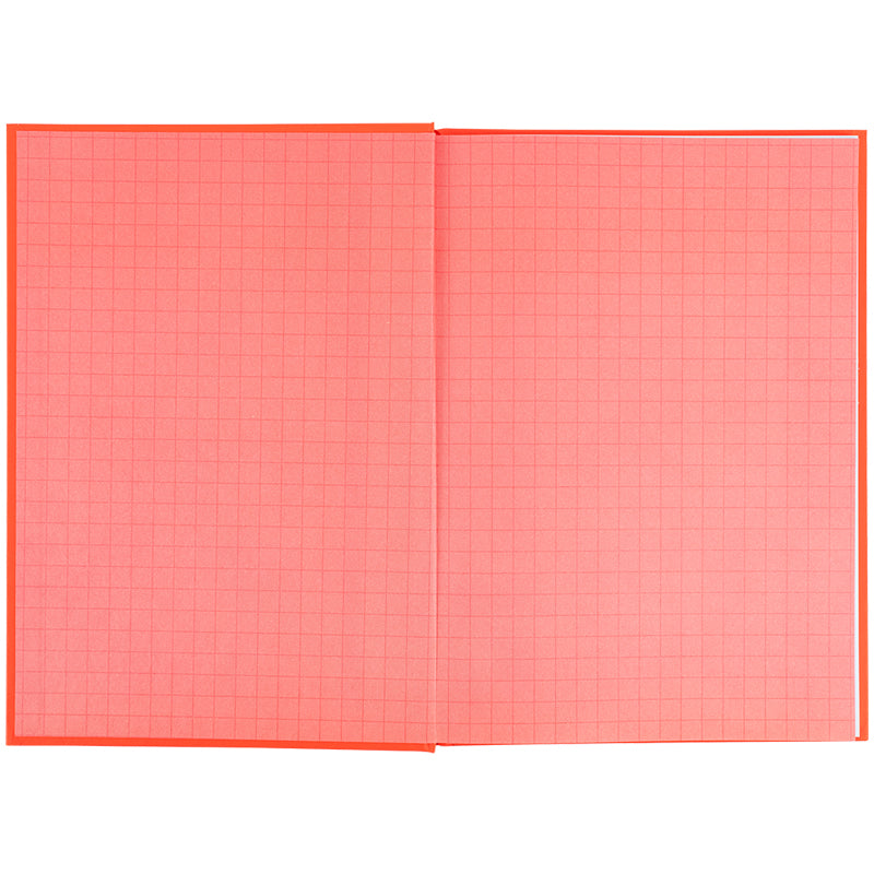 Дневник школьный Kite K25-262-10, твердая обложка, оранжевый