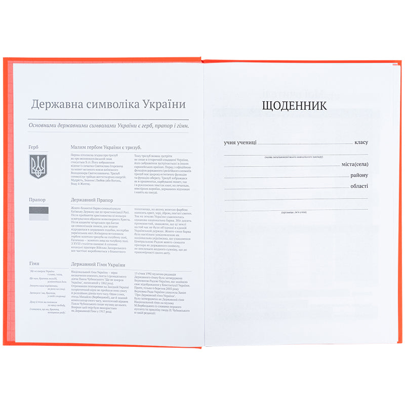 Дневник школьный Kite K25-262-10, твердая обложка, оранжевый