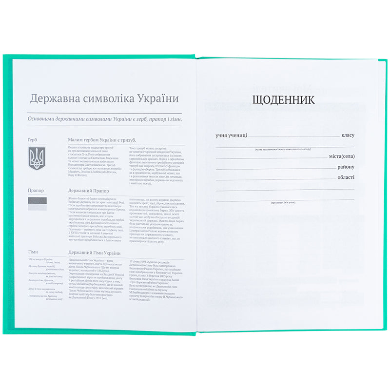 Дневник школьный Kite K25-262-11, твердая обложка, малахитовый