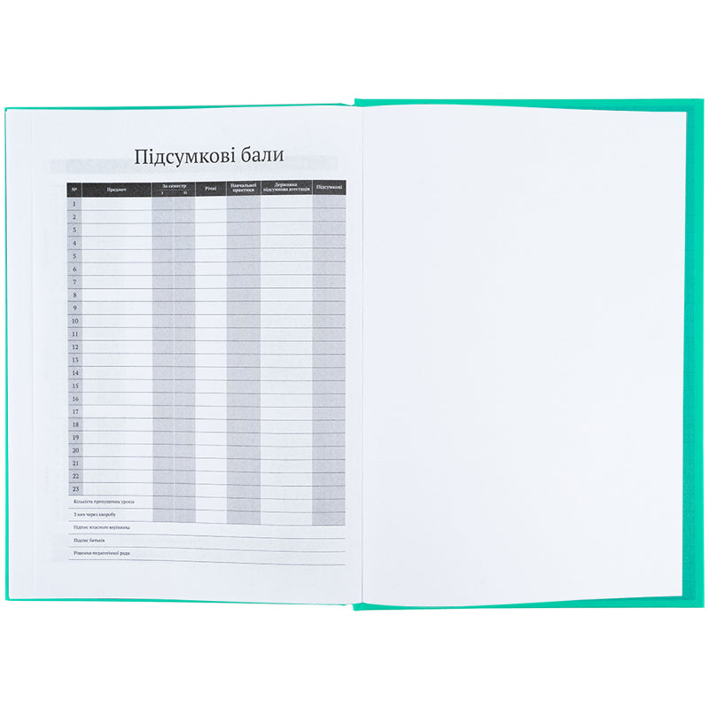 Дневник школьный Kite K25-262-11, твердая обложка, малахитовый