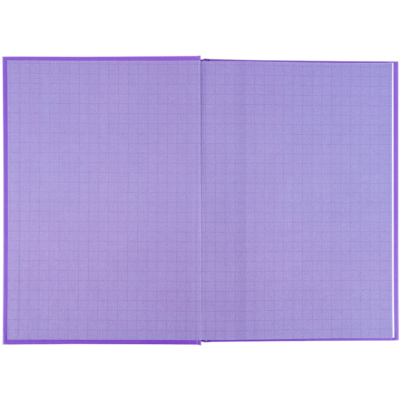 Дневник школьный Kite K25-262-12, твердая обложка, фиолетовый