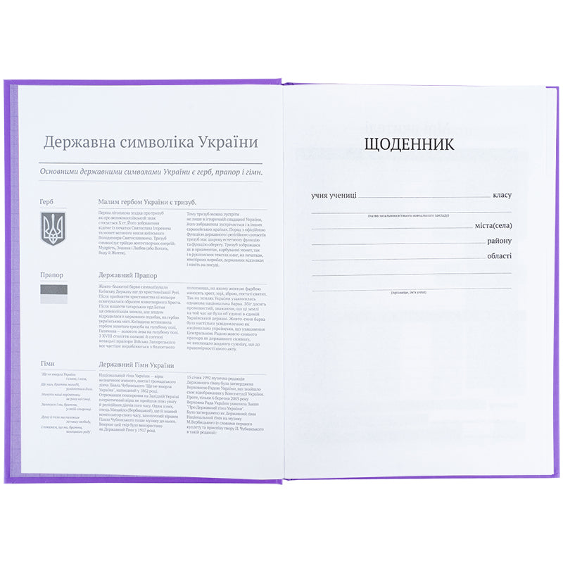 Дневник школьный Kite K25-262-12, твердая обложка, фиолетовый