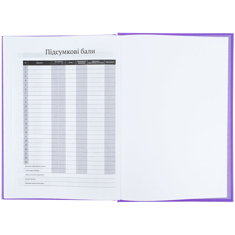 Дневник школьный Kite K25-262-12, твердая обложка, фиолетовый