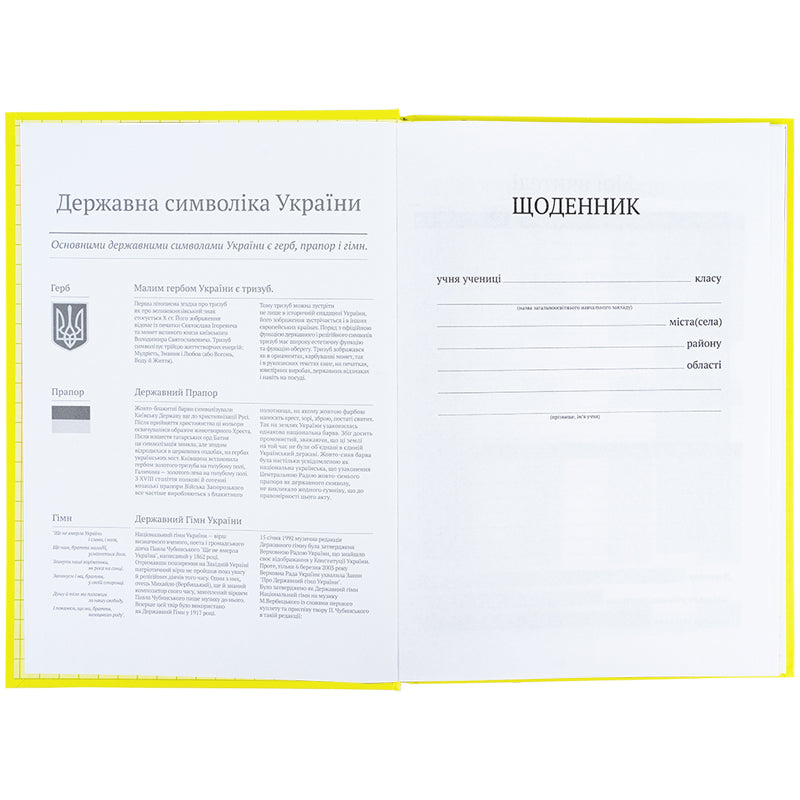 Дневник школьный Kite K25-262-13, твердая обложка, желтый