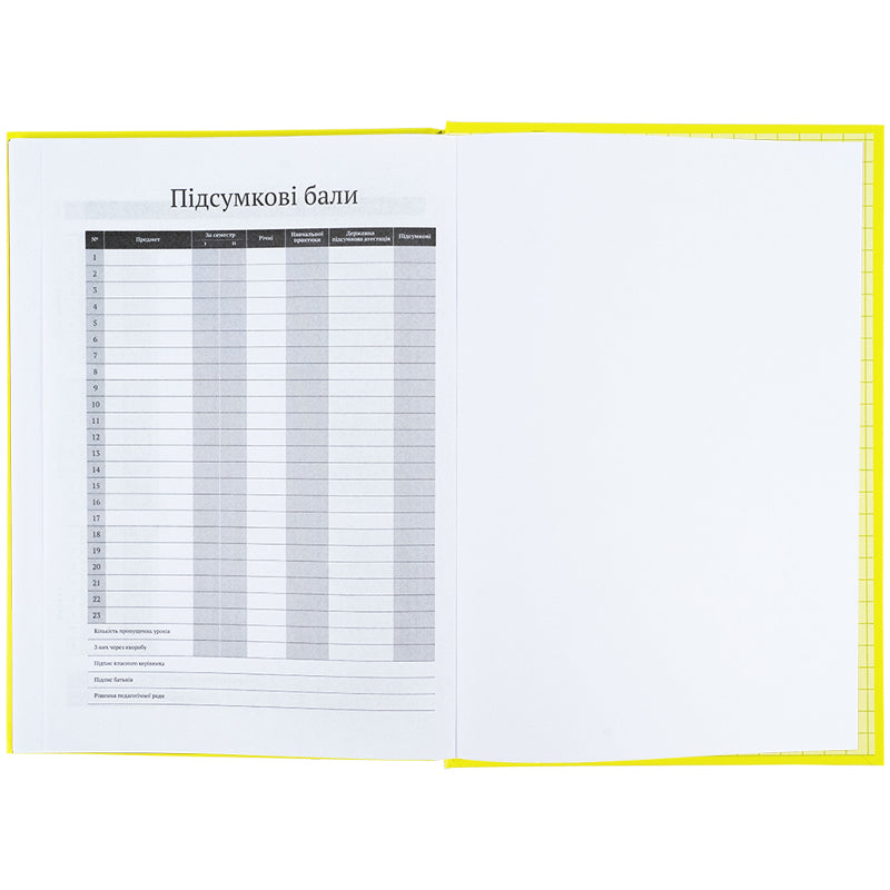 Дневник школьный Kite K25-262-13, твердая обложка, желтый