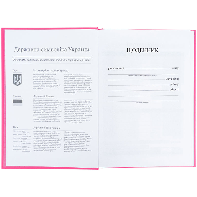 Дневник школьный Kite K25-262-14, твердая обложка, розовый