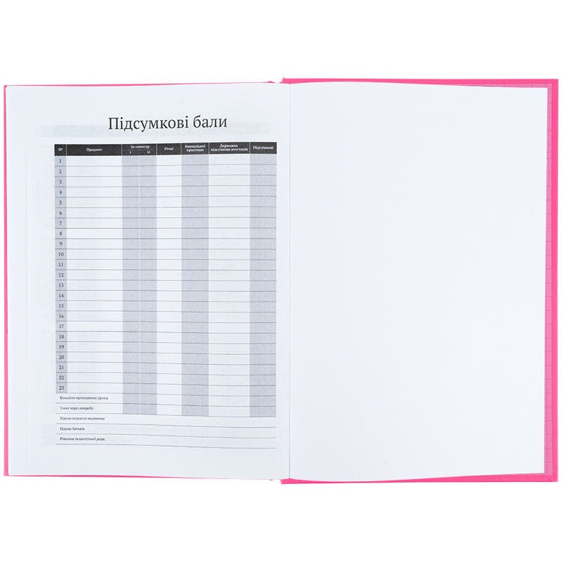 Дневник школьный Kite K25-262-14, твердая обложка, розовый