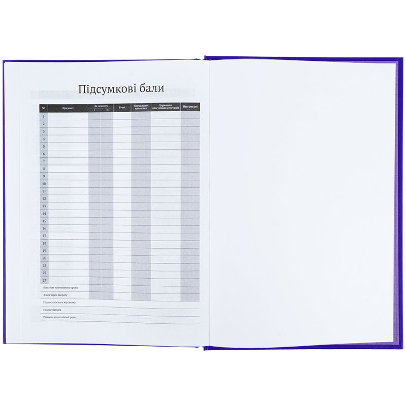 Дневник школьный Kite K25-262-15, твердая обложка, синий