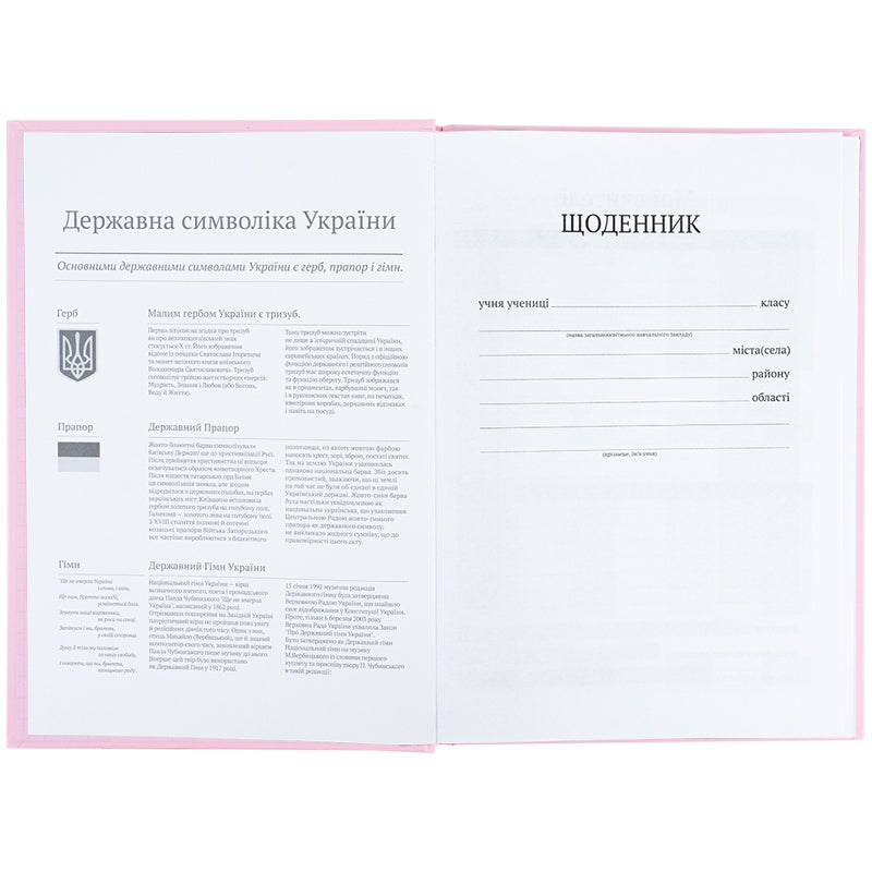 Дневник школьный Kite K25-262-17, твердая обложка, светло-розовый