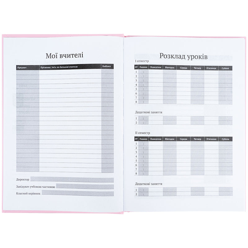 Дневник школьный Kite K25-262-17, твердая обложка, светло-розовый