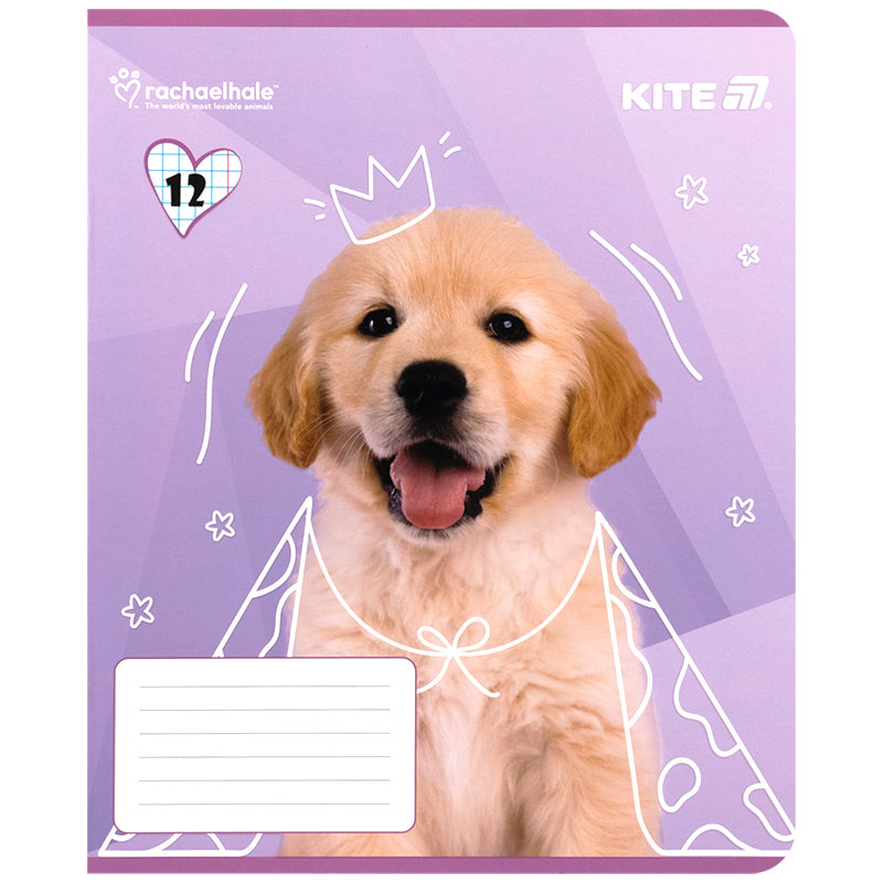 Тетрадь школьная Kite Rachael Hale R25-232, 12 листов, клетка