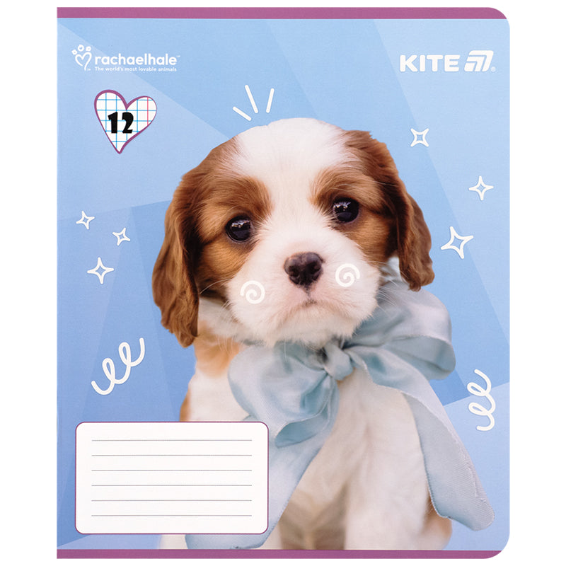 Тетрадь школьная Kite Rachael Hale R25-232, 12 листов, клетка