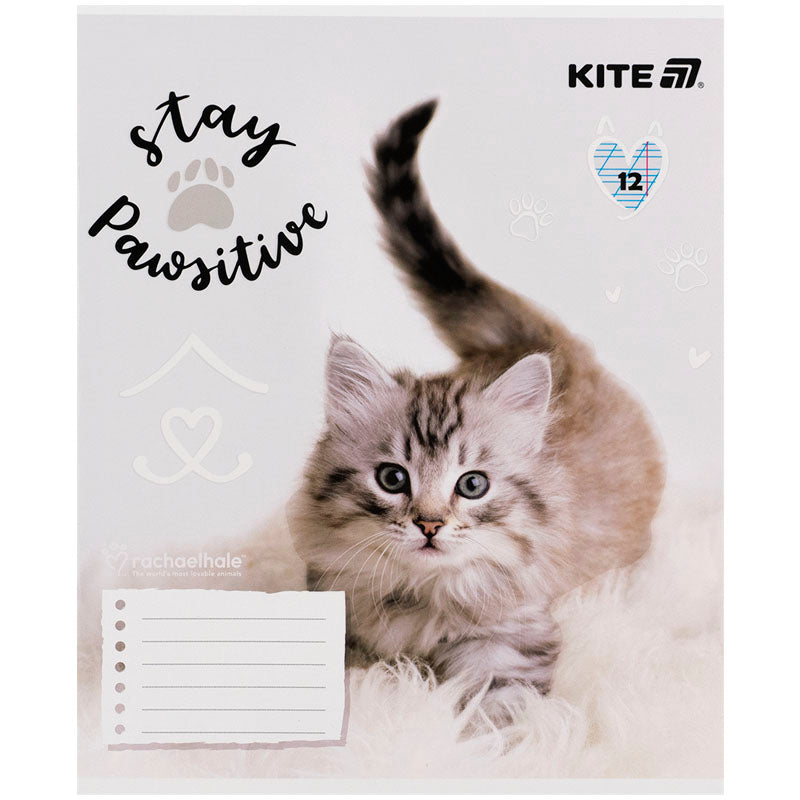 Зошит шкільний Kite Rachael Hale R25-235, 12 аркушів, коса лінія