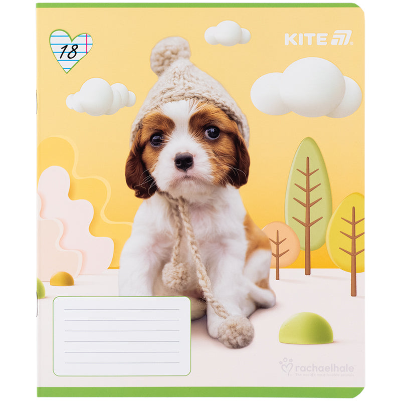 Зошит шкільний Kite  Rachael Hale R25-237, 18 аркушів, лінія
