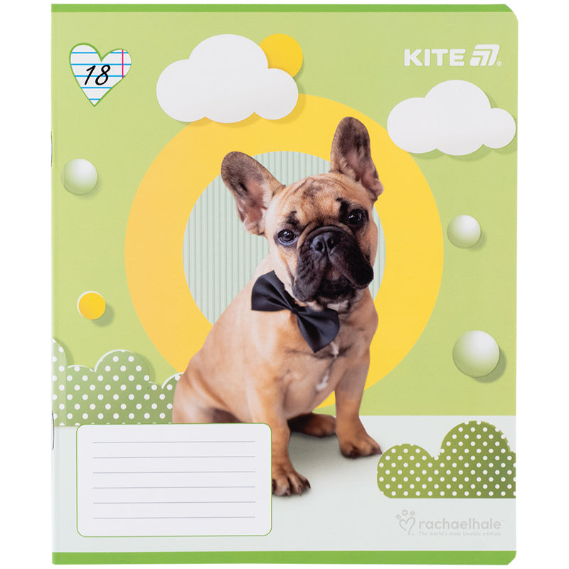 Зошит шкільний Kite  Rachael Hale R25-237, 18 аркушів, лінія