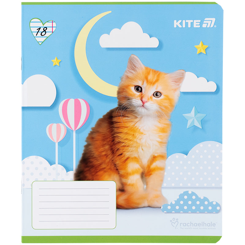 Зошит шкільний Kite  Rachael Hale R25-237, 18 аркушів, лінія