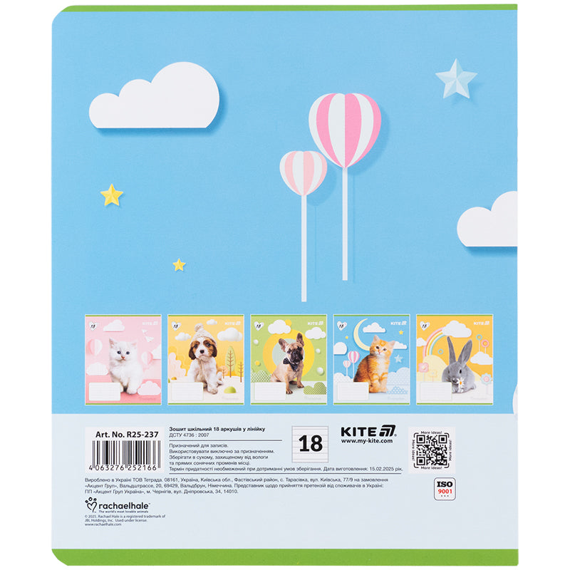 Зошит шкільний Kite  Rachael Hale R25-237, 18 аркушів, лінія