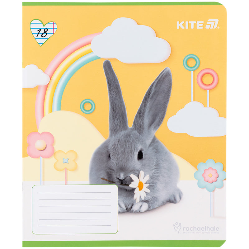 Зошит шкільний Kite  Rachael Hale R25-237, 18 аркушів, лінія