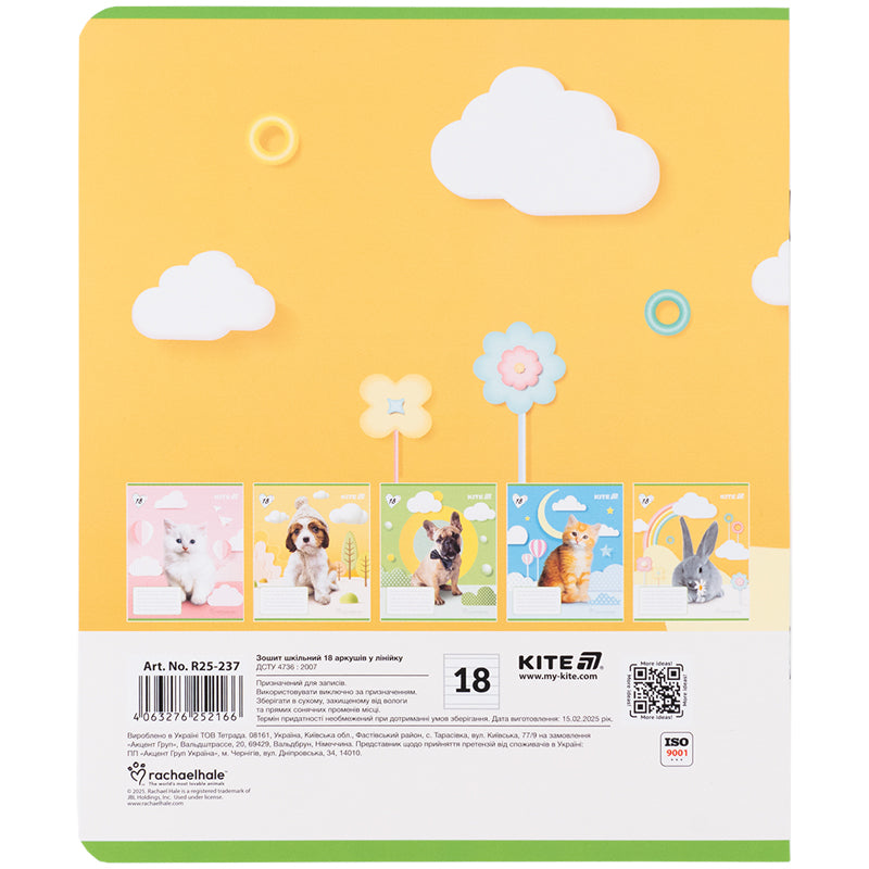 Зошит шкільний Kite  Rachael Hale R25-237, 18 аркушів, лінія