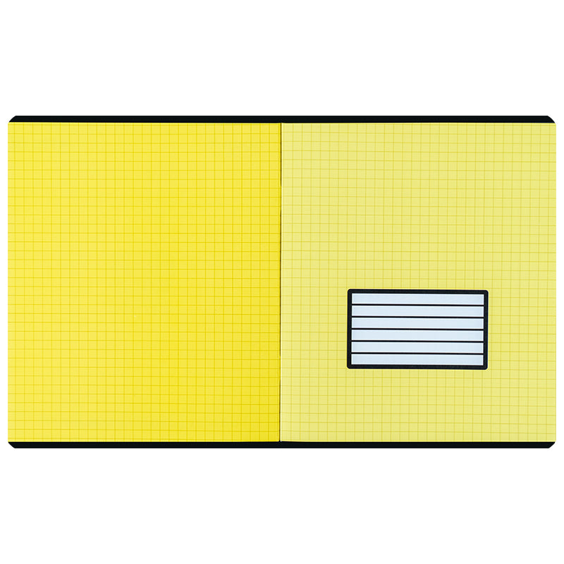 Тетрадь школьная Kite One color K25-259-2, 48 листов, клетка
