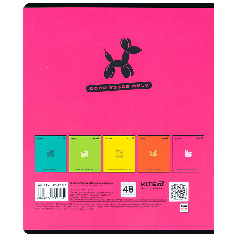 Тетрадь школьная Kite One color K25-259-2, 48 листов, клетка