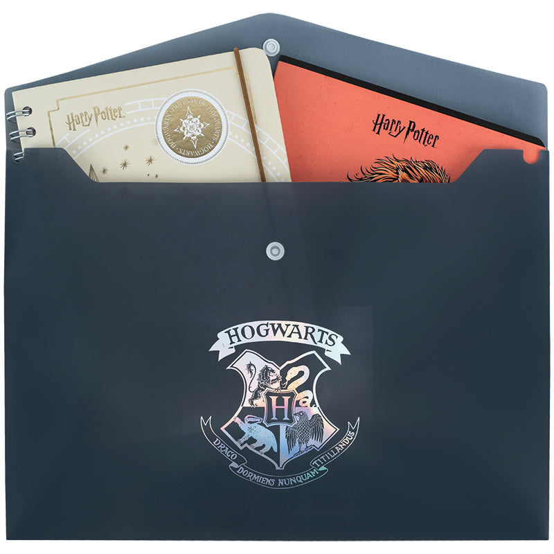Папка на кнопці Kite Harry Potter HP25-244-2, А4