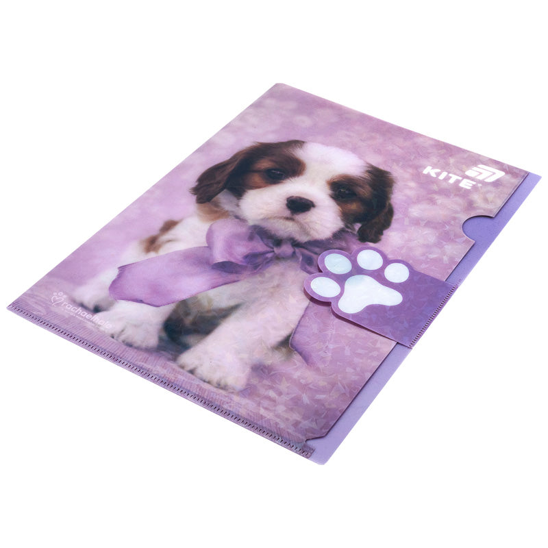 Папка-куточок з клапаном Kite Rachael Hale R25-248, A4