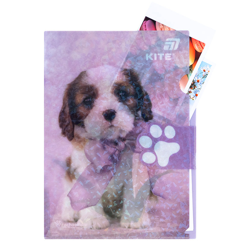 Папка-куточок з клапаном Kite Rachael Hale R25-248, A4