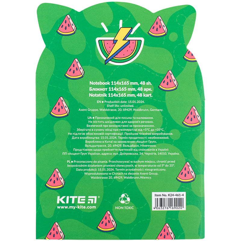 Блокнот Kite Tasty racoon K24-461-4, 48 аркушів, клітинка