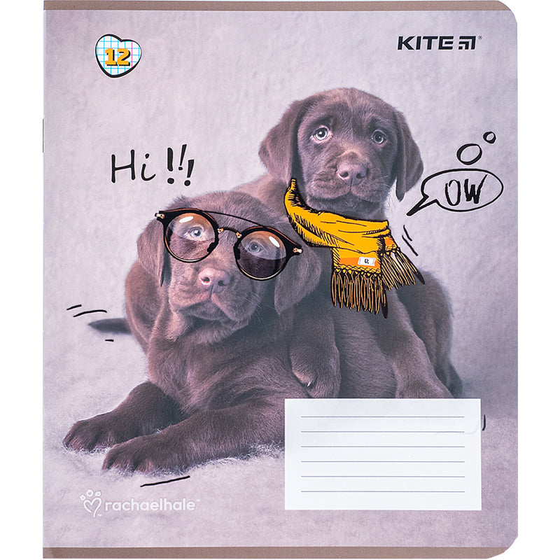Зошит шкільний Kite Rachael Hale R24-232, 12 аркушів, клітинка
