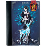 Блокнот с магнитной закладкой Kite Harry Potter HP25-192, А5, 60 листов, клетка