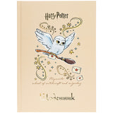 Дневник школьный Kite Harry Potter HP25-262-1, твердая обложка