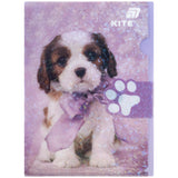 Папка-куточок з клапаном Kite Rachael Hale R25-248, A4