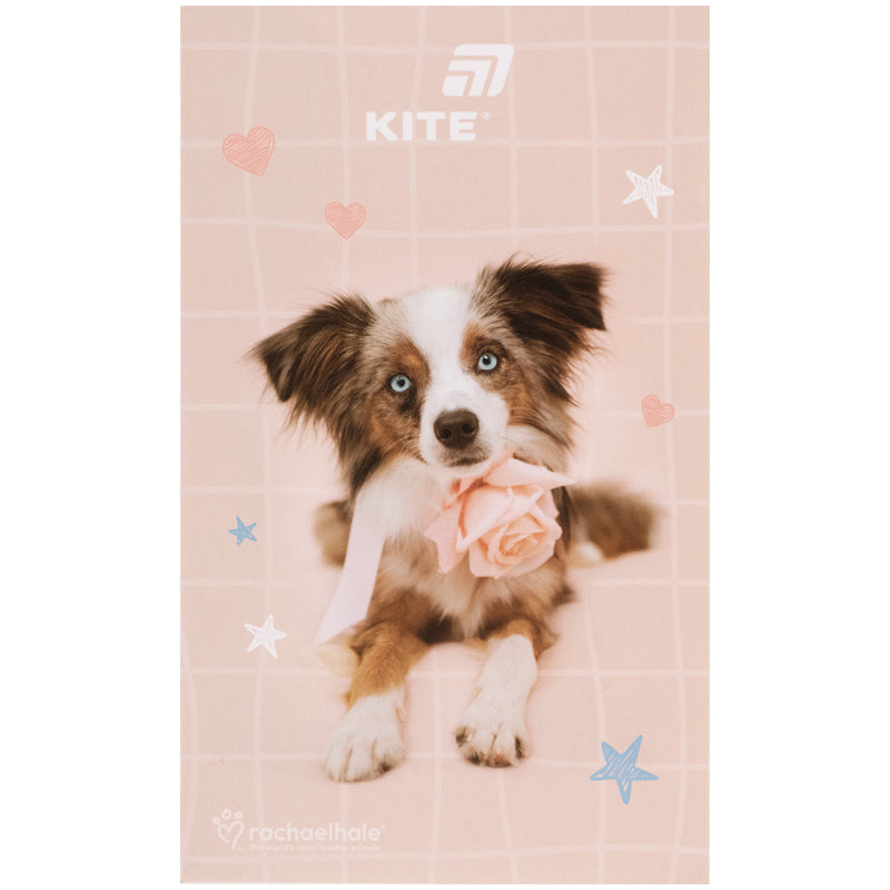 Блокнот-планшет Kite Rachael Hale R26-195, A6, 50 листов, нелинованный