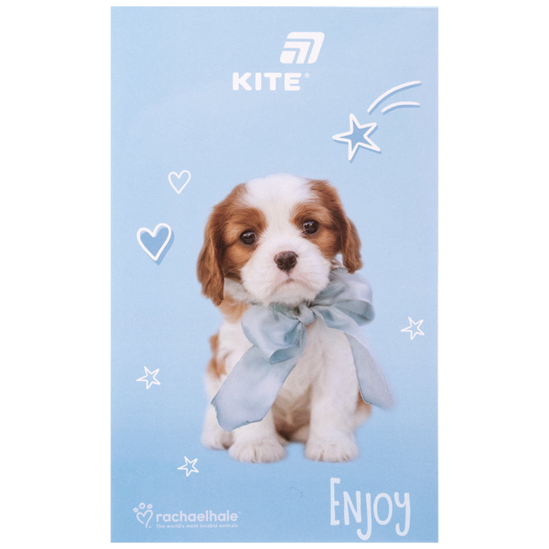 Блокнот-планшет Kite Rachael Hale R26-195, A6, 50 листов, нелинованный