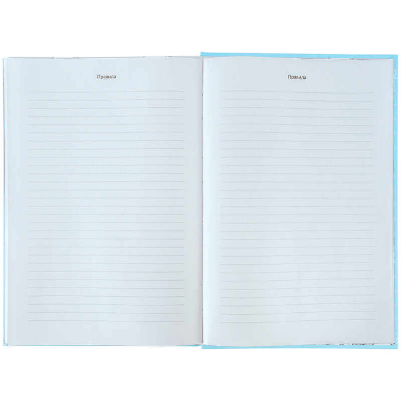 Словник для запису іноземних слів Kite Cinnamoroll, 60 аркушів