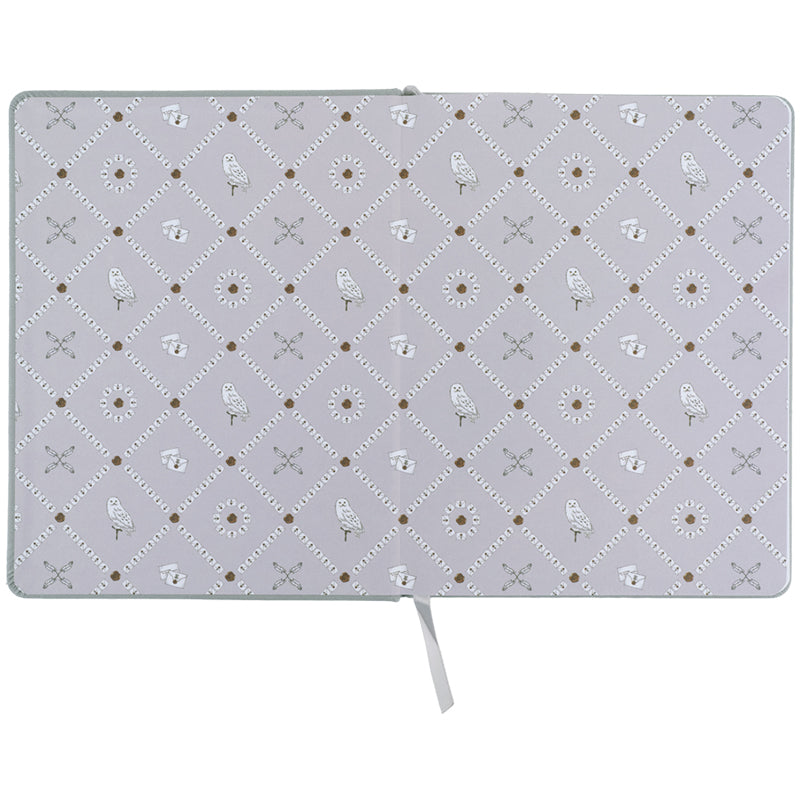 Школьный дневник Kite Harry Potter HP26-264, твердая обложка, PU