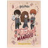 Щоденник шкільний Kite Harry Potter HP26-262-1, тверда обкладинка